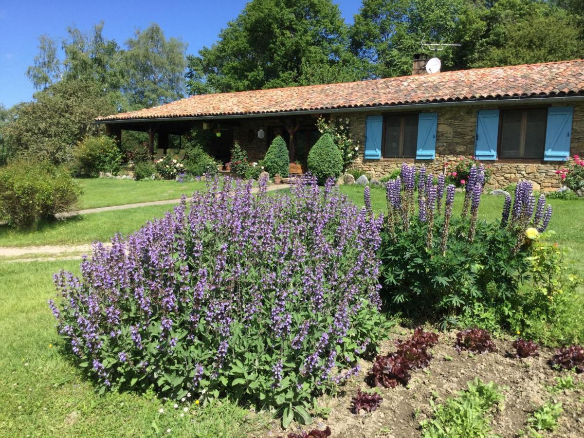 MontferrierLa Serre De Marou住宿加早餐旅馆 外观 照片